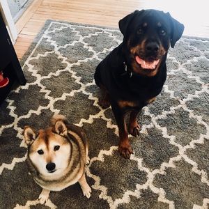 Meet your Posher, Angela